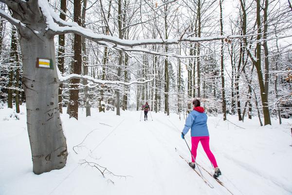 Cross-country skiing: two women cross-country skiing Stock photo © lightpoet