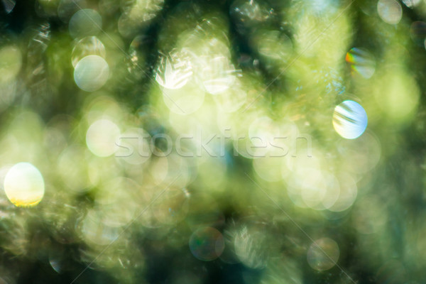 green bokeh abstract light background Stock photo © lightpoet