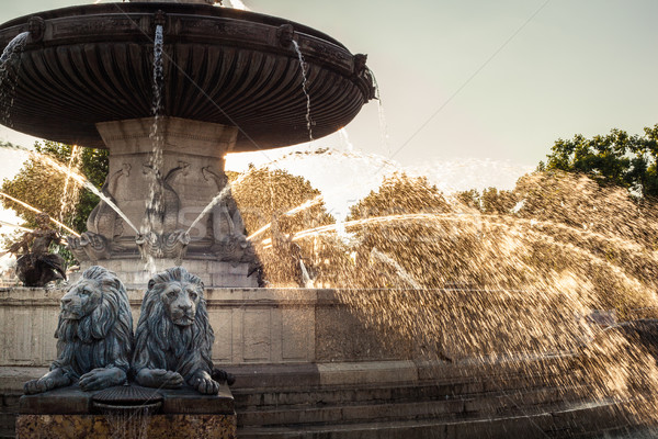 Foto d'archivio: La · fontana · centrale · giostra · primavera · città