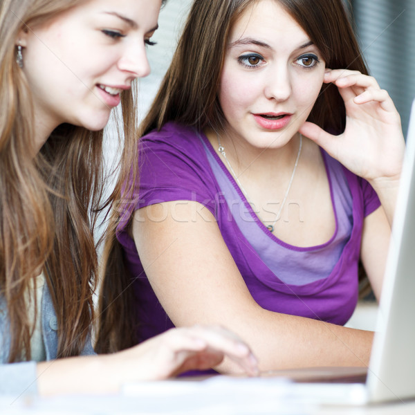 Foto d'archivio: Due · femminile · college · studenti · lavoro · computer · portatile