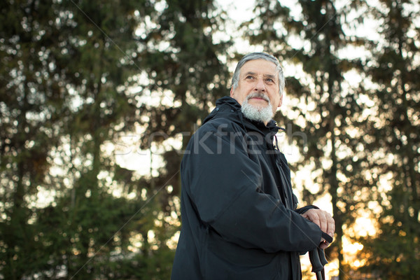 Senior Mann Fuß genießen Freien Stock foto © lightpoet