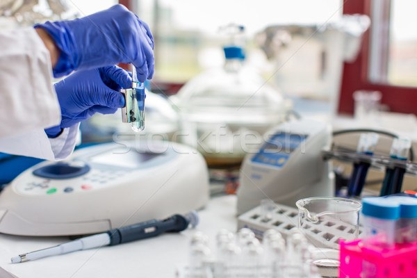 Young female scientist works in modern chemistry/biology lab  Stock photo © lightpoet