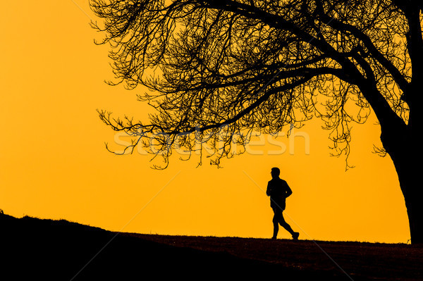 Silhouette junger Mann läuft Freien sonnig Abend Stock foto © lightpoet