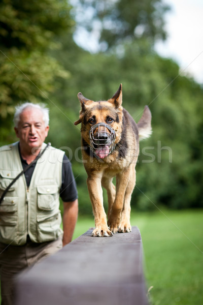 Master gehorsam Hund Hundetraining Zentrum Schäfer Stock foto © lightpoet