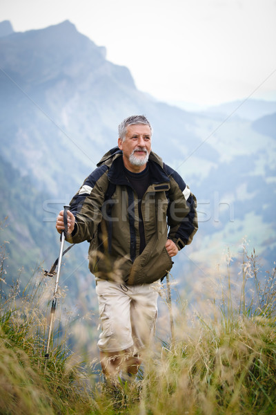 Aktív idős kirándulás magas hegyek Alpok Stock fotó © lightpoet