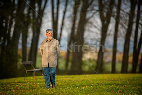 Portrait of a senior man outdoors, walking in a park Stock photo © lightpoet