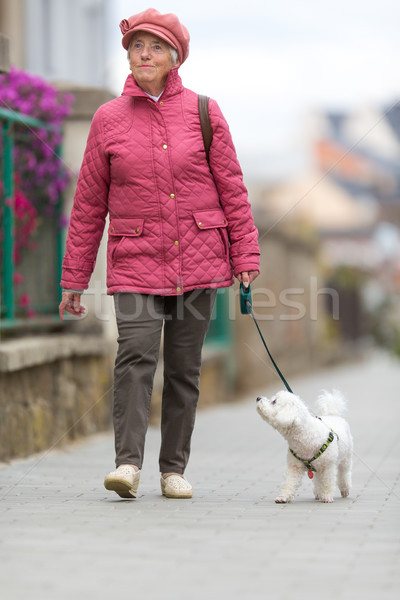 Kıdemli kadın yürüyüş küçük köpek şehir sokak Stok fotoğraf © lightpoet