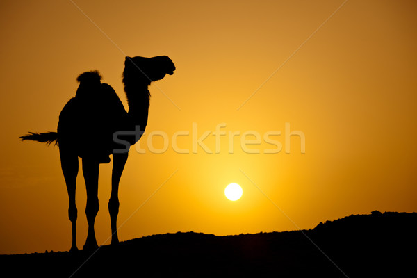 Foto stock: Sol · abajo · caliente · desierto · silueta