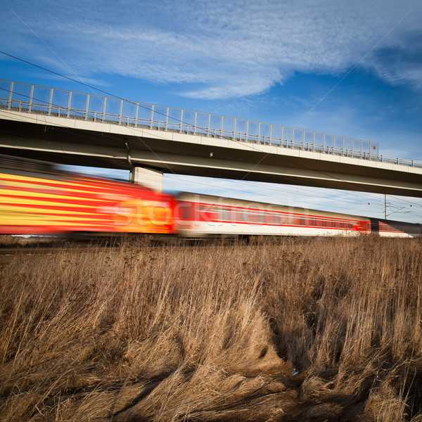 Snel trein brug zomer dag beweging Stockfoto © lightpoet
