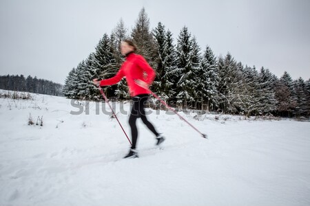 young man cross-country skiing on a snowy forest trail  Stock photo © lightpoet