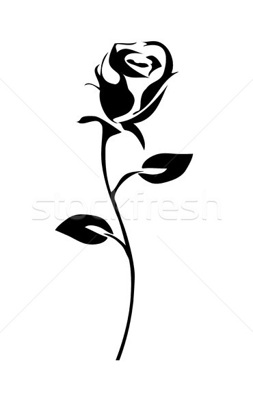 vector rose silhouette Stock photo © lilac