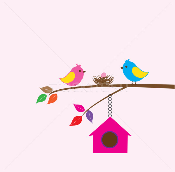 Vogel Familie Vektor Vögel Nest Haus Stock foto © lilac