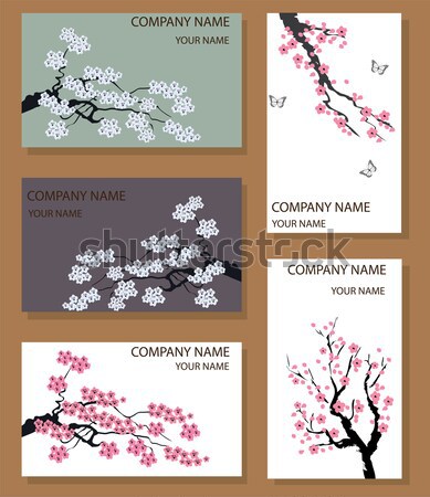 Vetor obrigado cartões diferente flor de cereja borboletas Foto stock © lilac