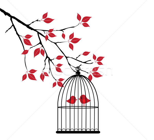 Bird Cage Stock photo © lilac