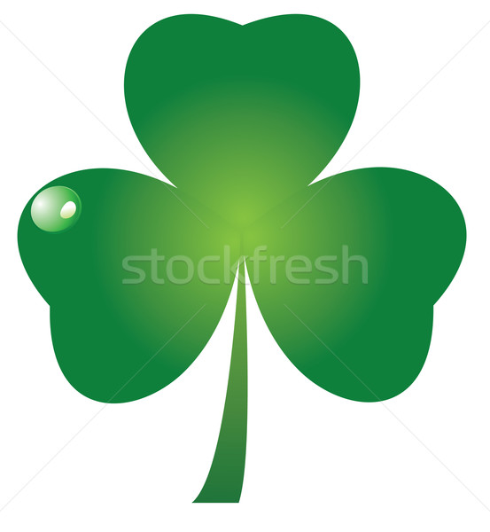 Trevo folha vetor fundo verde planta Foto stock © lilac
