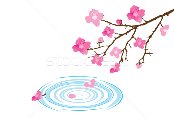 櫻花 向量 水 界 天空 春天 商業照片 © lilac