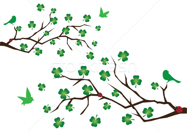 branches with clover leaves Stock photo © lilac