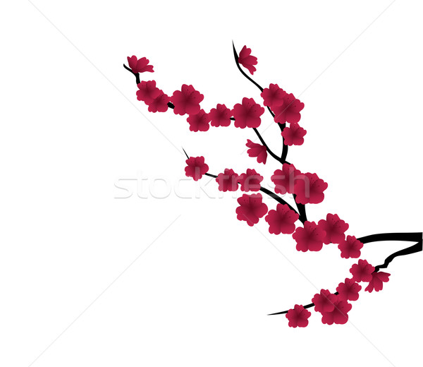 Flor vermelho vetor ramo folha jardim Foto stock © lilac