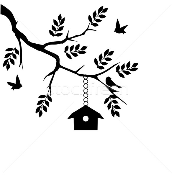 Stockfoto: Vogel · huis · voorjaar · blad · tuin