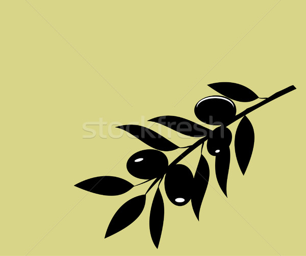 Măsline ramură vector siluetă copac alimente Imagine de stoc © lilac
