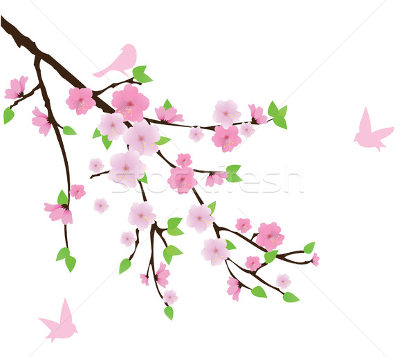 Stock foto: Kirschblüten · Vektor · Blatt · Garten · Kunst · Silhouette