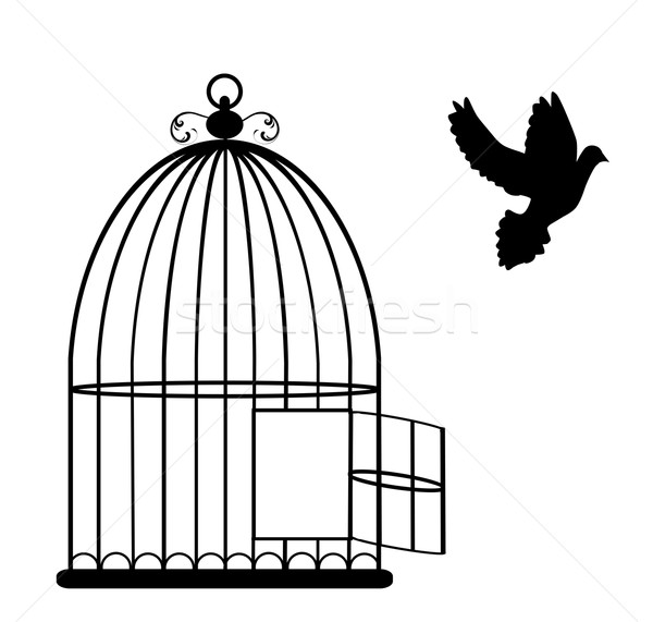 Vogelkäfig Jahrgang Karte Käfig öffnen Taube Stock foto © lilac