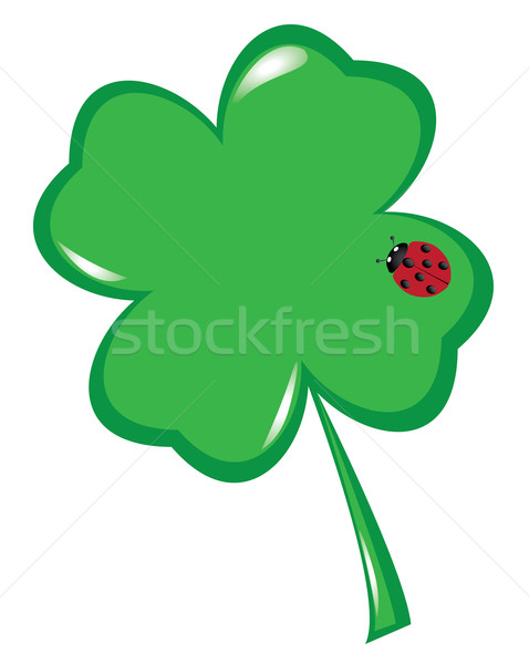 Shamrock joaninha vetor trevo folha fundo Foto stock © lilac