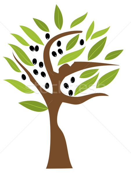 оливковое дерево вектора продовольствие фермы листьев нефть Сток-фото © lilac