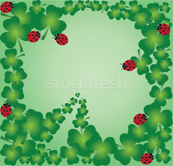 clover leaf frame Stock photo © lilac