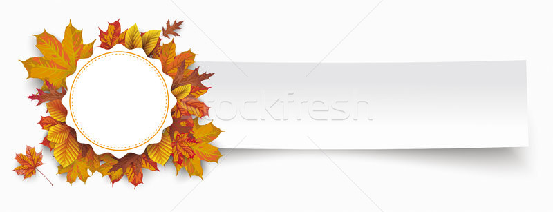 Paper Banner Emblem Autumn Foliage Stock photo © limbi007