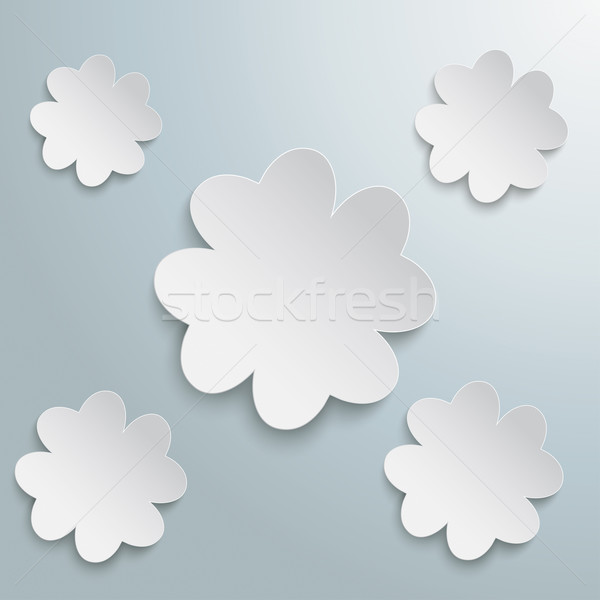 5 White Shamrocks Stock photo © limbi007