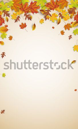 Autumn Foliage Fall Headline Shadows Stock photo © limbi007