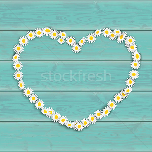 Spring Turquoise Daisy Flowers Heart Stock photo © limbi007