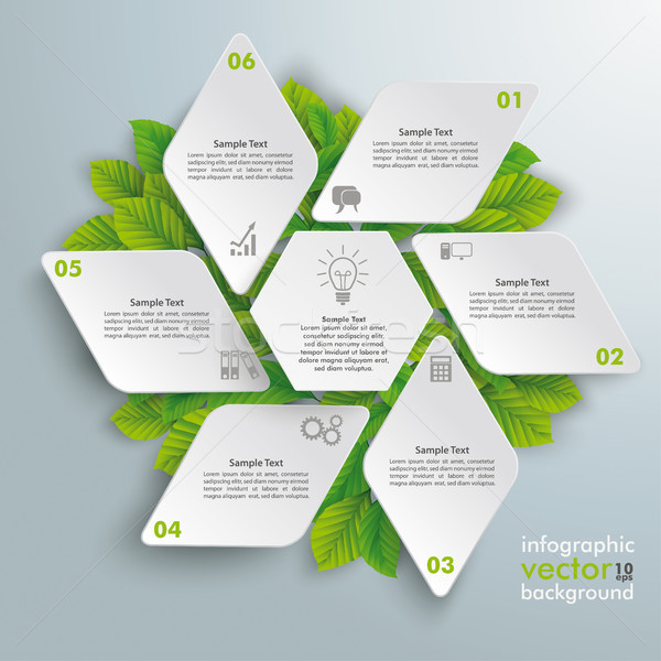 Rhombus Hexagon Eco Infographic Green Leaves Stock photo © limbi007