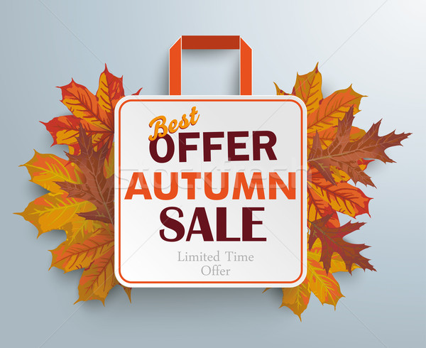 Shopping Bag Autumn Sale Stock photo © limbi007