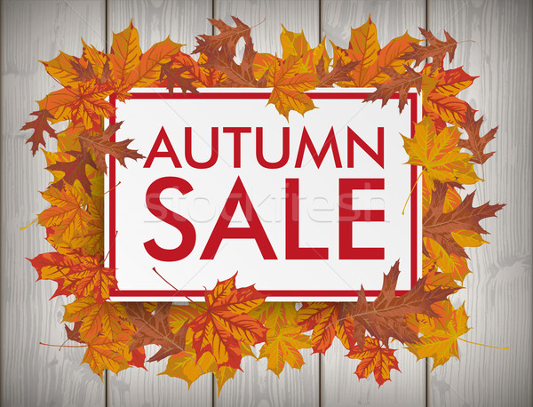 Board Autumn Foliage Sale Wood Stock photo © limbi007