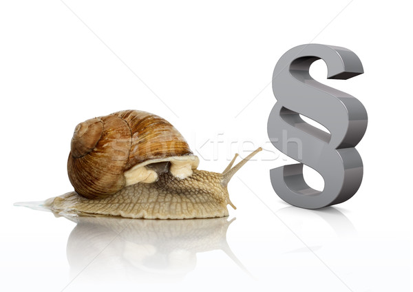 Foto stock: Romano · caracol · cinza · parágrafo · branco · lei