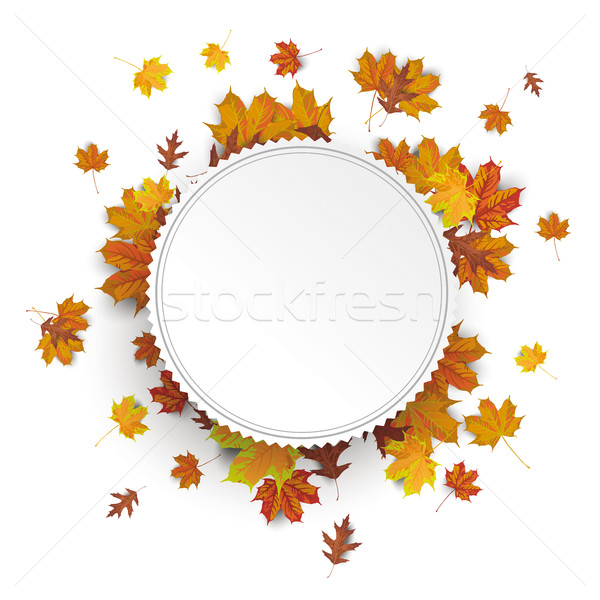 White Etiquette Autumn Foliage Stock photo © limbi007