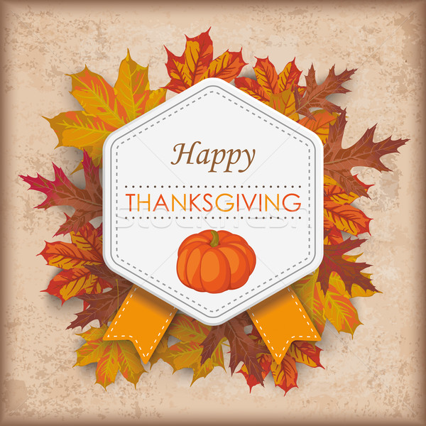 Foliage Vintage Hexagon Emblem Thanksgiving Pumpkin Stock photo © limbi007