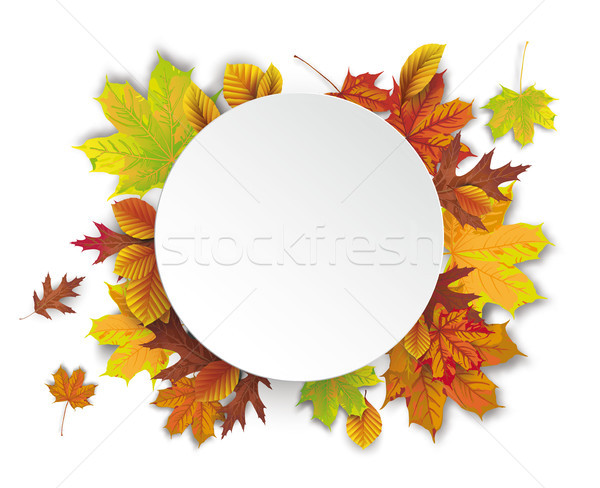 Weiß Papier Kreis Herbst Laub eps Stock foto © limbi007