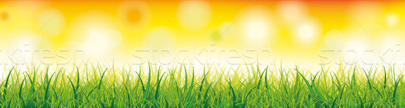 Grass Summer Meadow Bokeh Lights Background Header SH Stock photo © limbi007