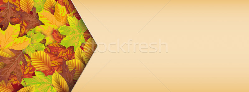 Header Autumn Foliage Arrow Stock photo © limbi007