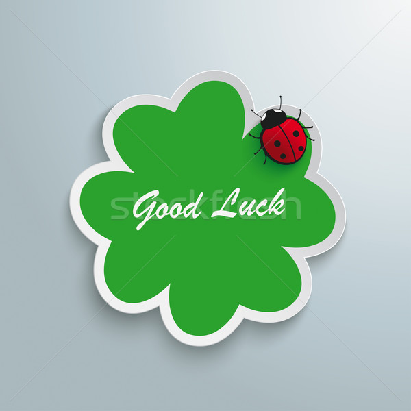 Verde shamrock bene fortuna coccinella bianco Foto d'archivio © limbi007