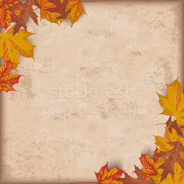 Autumn Foliage Vintage Stock photo © limbi007