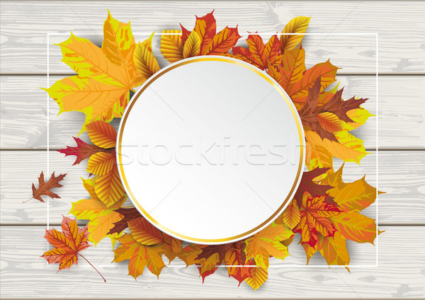 Wood Autumn Foliage Golden Circle Stock photo © limbi007