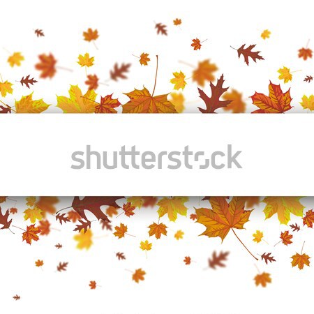 Autumn Foliage Wind Stock photo © limbi007