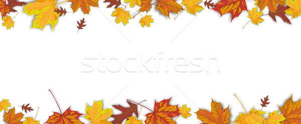 Autumn Foliage White Centre Header Stock photo © limbi007