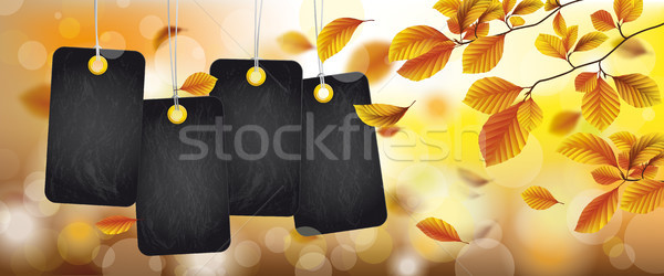 Autumn Black Price Stickers Beech Foliage Header Stock photo © limbi007