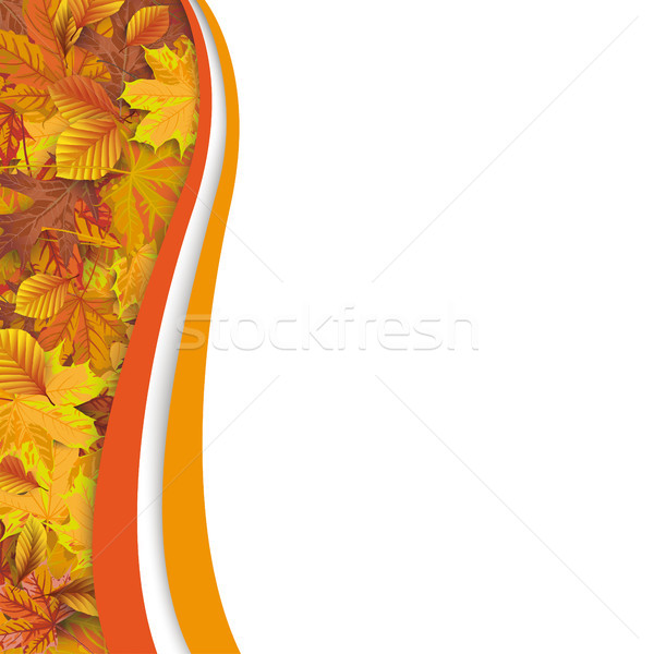 Autumn Flyer Oblong Foliage Stock photo © limbi007