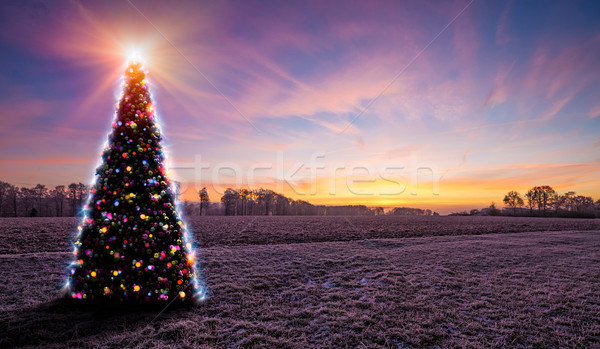 Landscape With Sunset And Christmas Tree Stock photo © limbi007